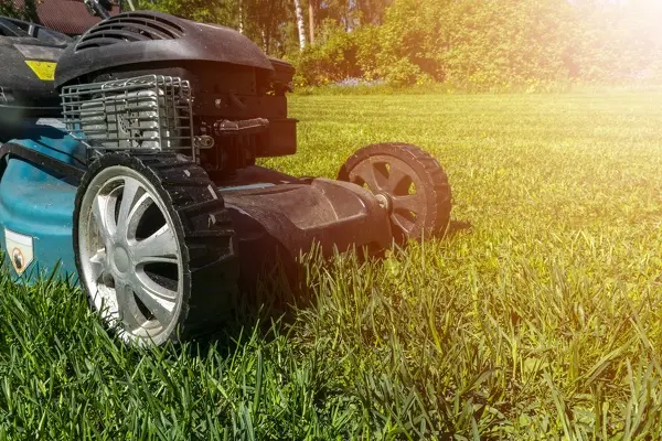 Can You Mow Wet Grass in Costa Mesa, CA