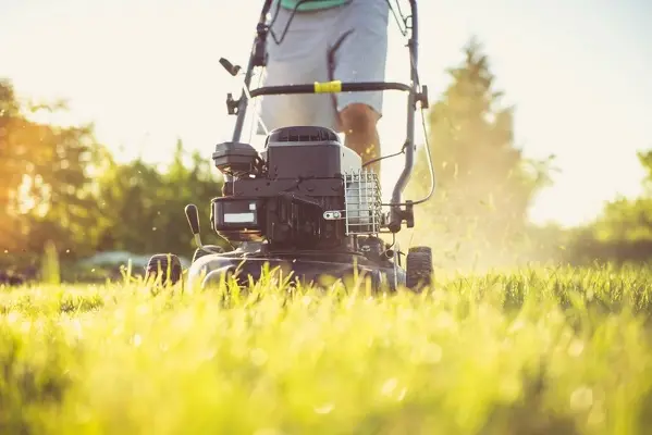 Can You Mow Wet Grass in Costa Mesa, CA