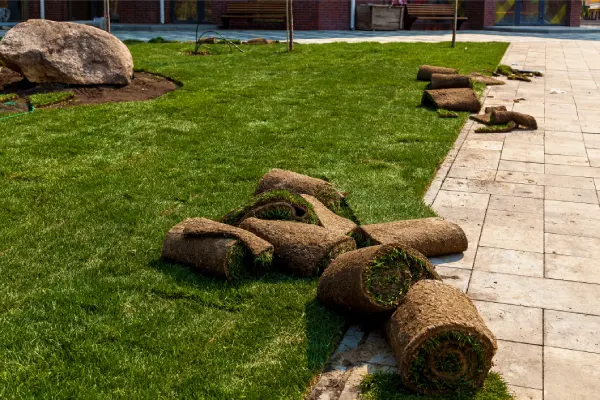 How long after installing sod can you walk on it in Costa Mesa, CA