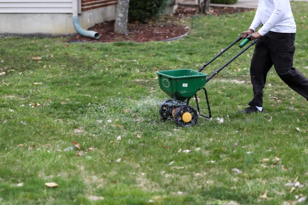 How often should you fertilize your lawn in Costa Mesa, CA