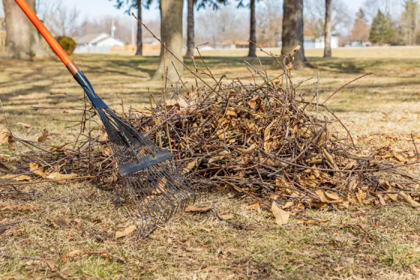 How to Clean a Backyard in Costa Mesa, CA