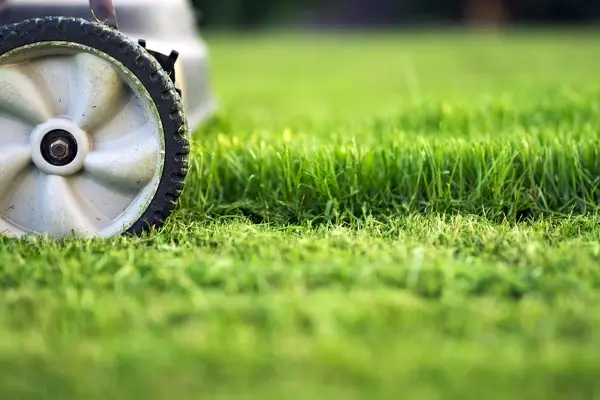 How to Mow a Lawn in Costa Mesa, CA