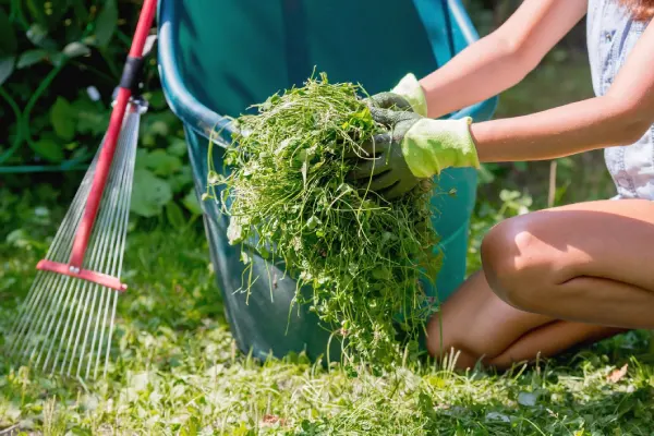 How to clear a yard full of weeds in Costa Mesa, CA