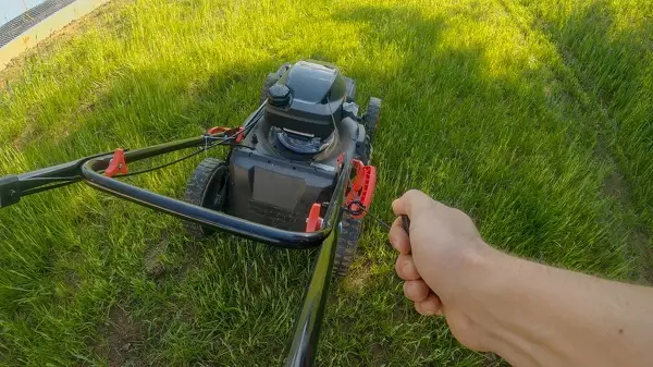 Lawn Mowing in Costa Mesa, CA