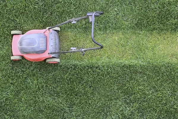 Lawn Mowing in Costa Mesa, CA