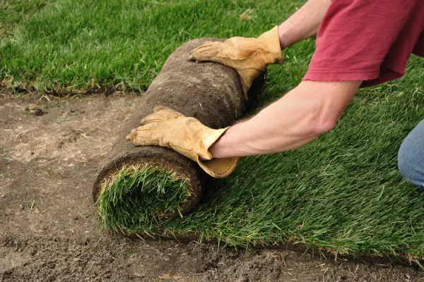 Sod Installation in Costa Mesa, CA