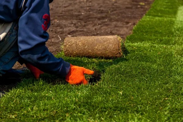 Sod Installation in Costa Mesa, CA