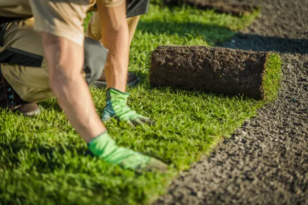 Sod Installation in Costa Mesa, CA