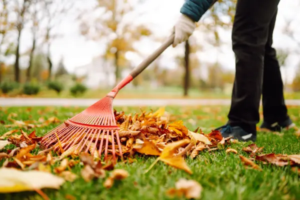 Yard Cleanup in Costa Mesa, CA