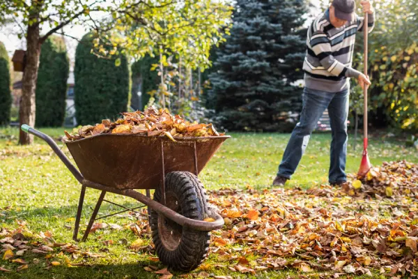 Yard Cleanup in Costa Mesa, CA