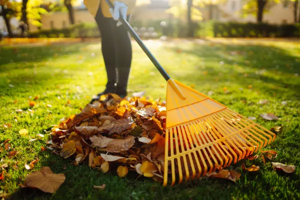 Yard Cleanup in Costa Mesa, CA